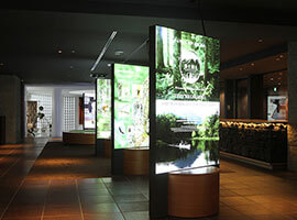 Image: Activities & Sightseeing Locations