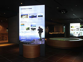 Image: Activities & Sightseeing Locations