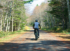 Image: Activities & Sightseeing Locations