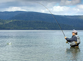 Image: Activities & Sightseeing Locations