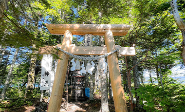 Image: Small shrine to the white dragon guardian deity