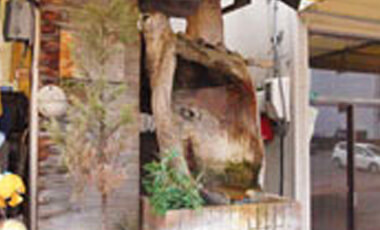 Image: Owl Hand Bath