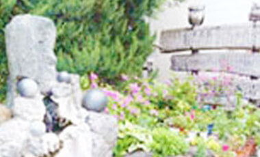 Image: Marimo Hand Bath