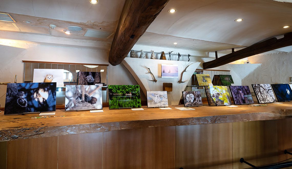 Image: Photo Gallery