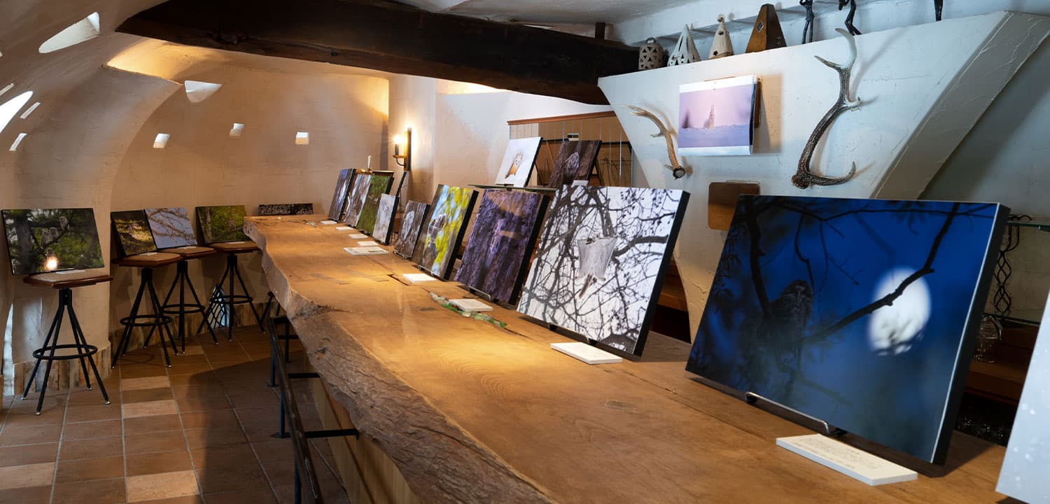 Image: photo gallery