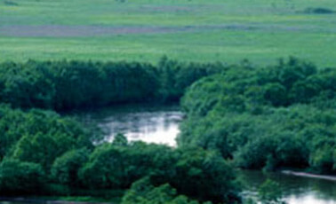 Image: Kottaro Marsh Observatory